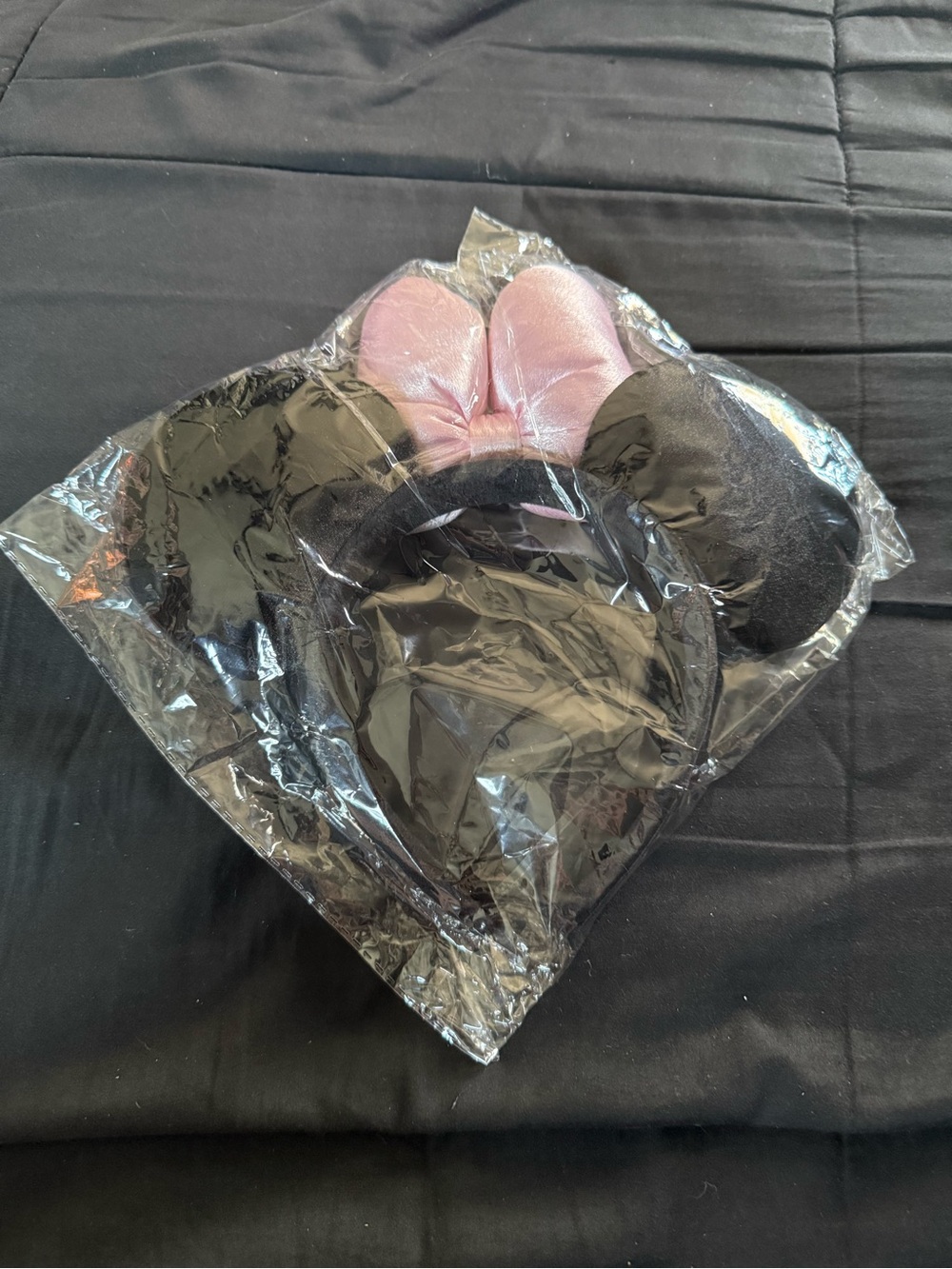 Crystal Mickey Ears - Picture 6 of 7